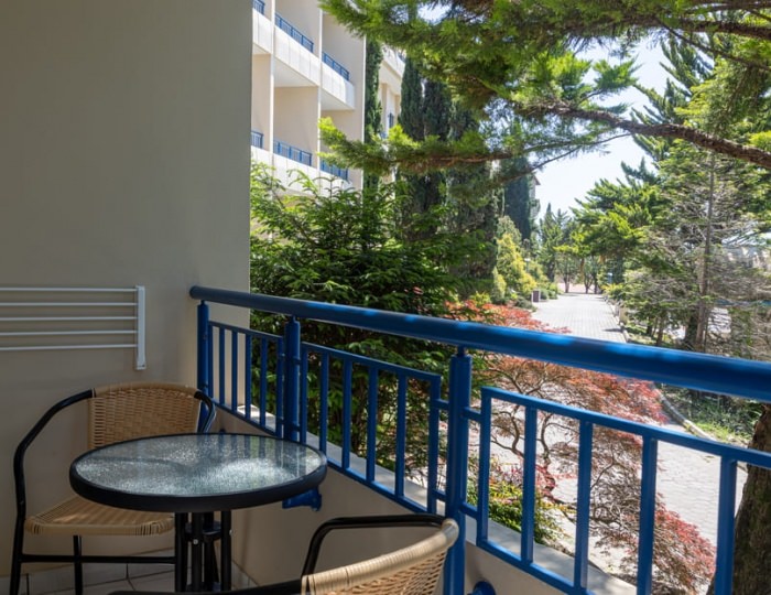 Стандарт - Комплекс ODISSEYA Wellness Resort / Одиссея Велнес Резорт