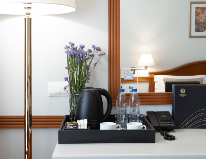 Семейный - Комплекс ODISSEYA Wellness Resort / Одиссея Велнес Резорт