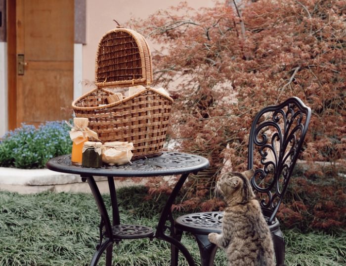 Коттедж - Комплекс ODISSEYA Wellness Resort / Одиссея Велнес Резорт